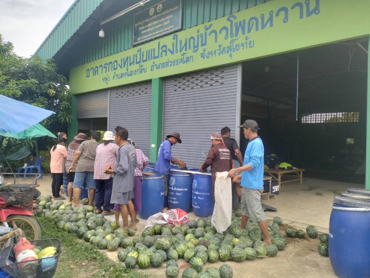 ภาพประกอบที่ 0