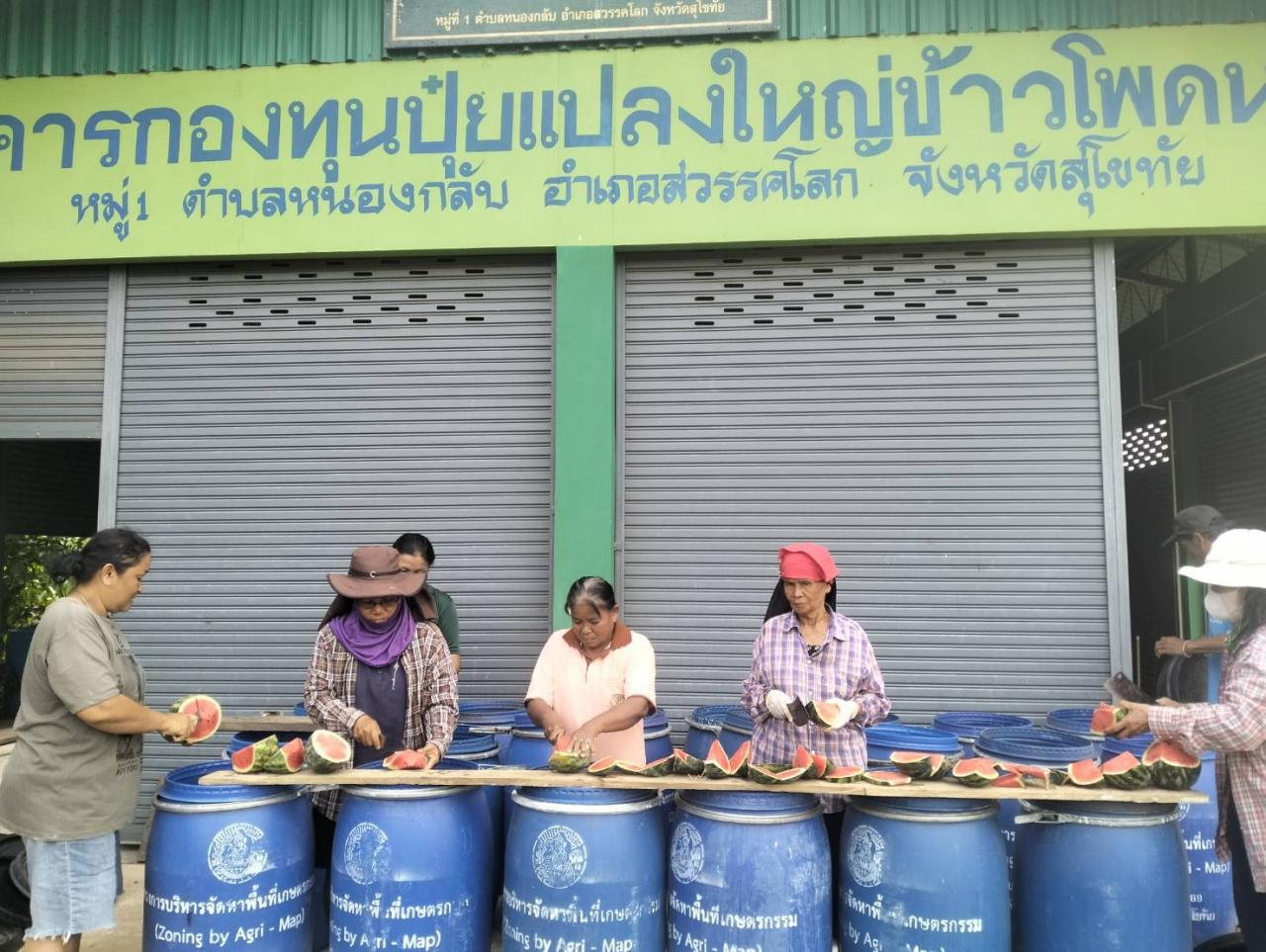 ภาพประกอบที่ 1