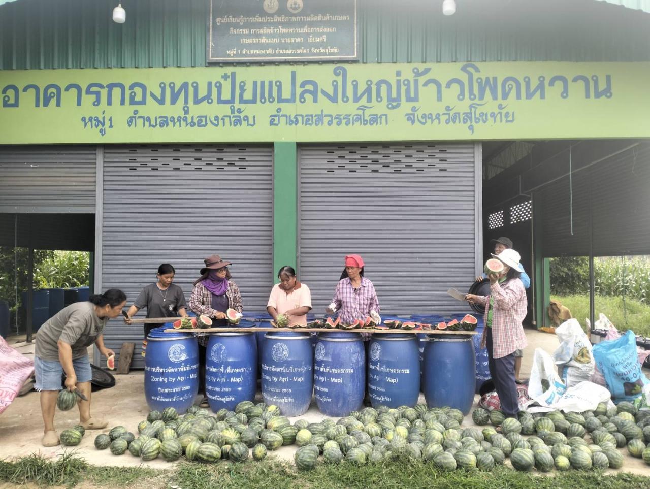 ภาพประกอบที่ 6