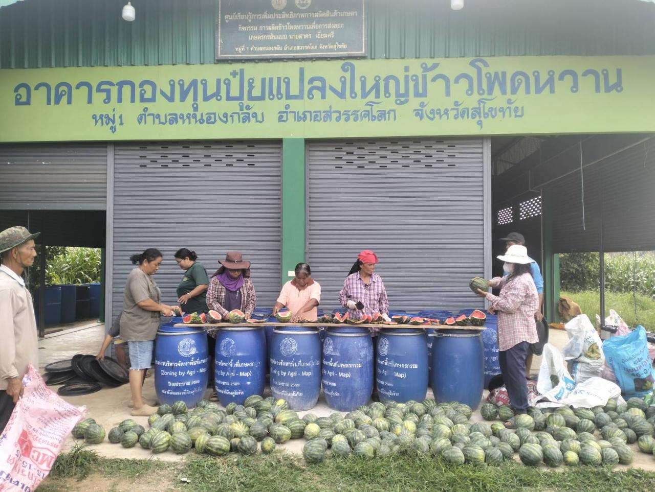 ภาพประกอบที่ 7
