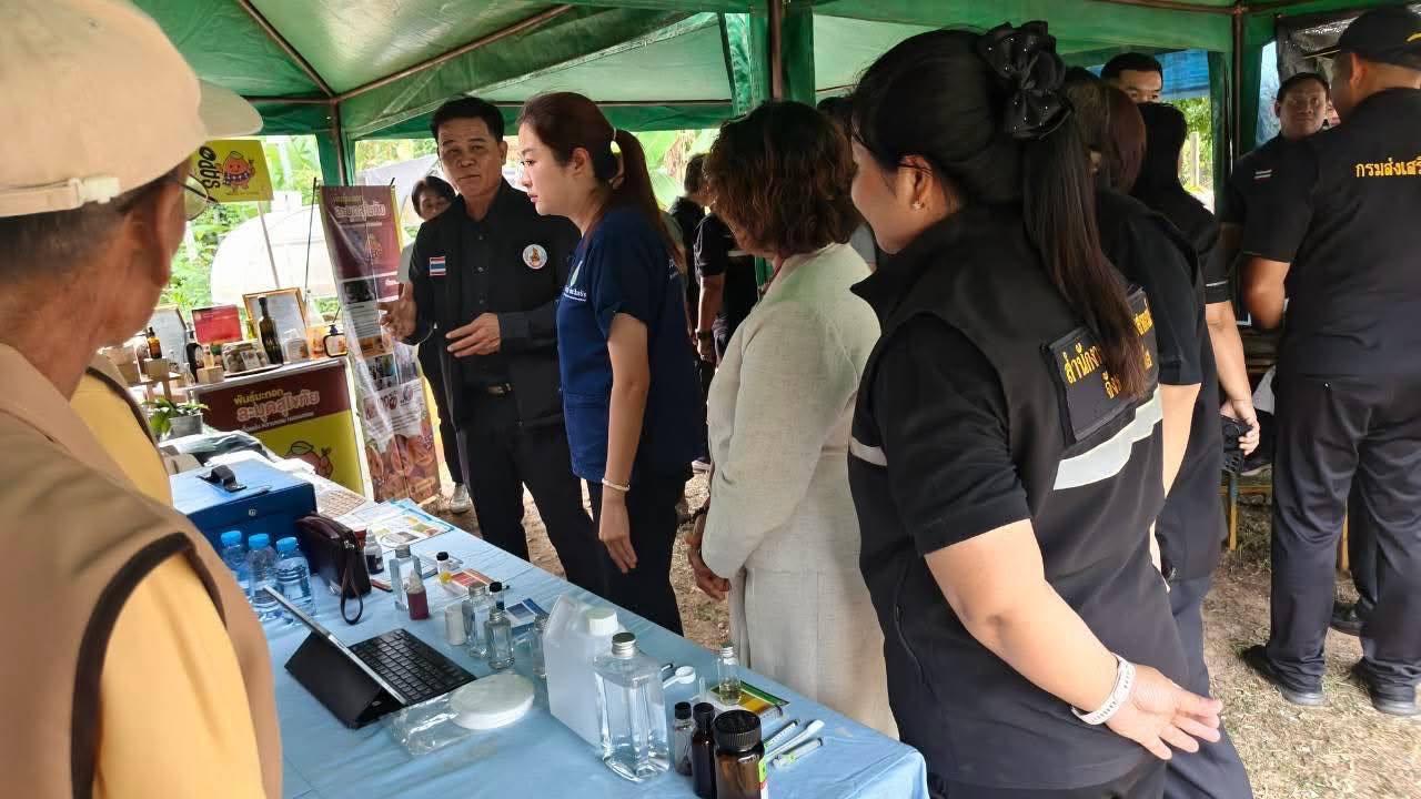 ภาพประกอบที่ 0