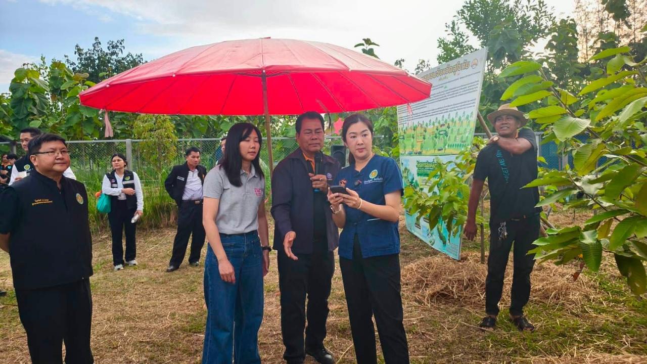 ภาพประกอบที่ 3