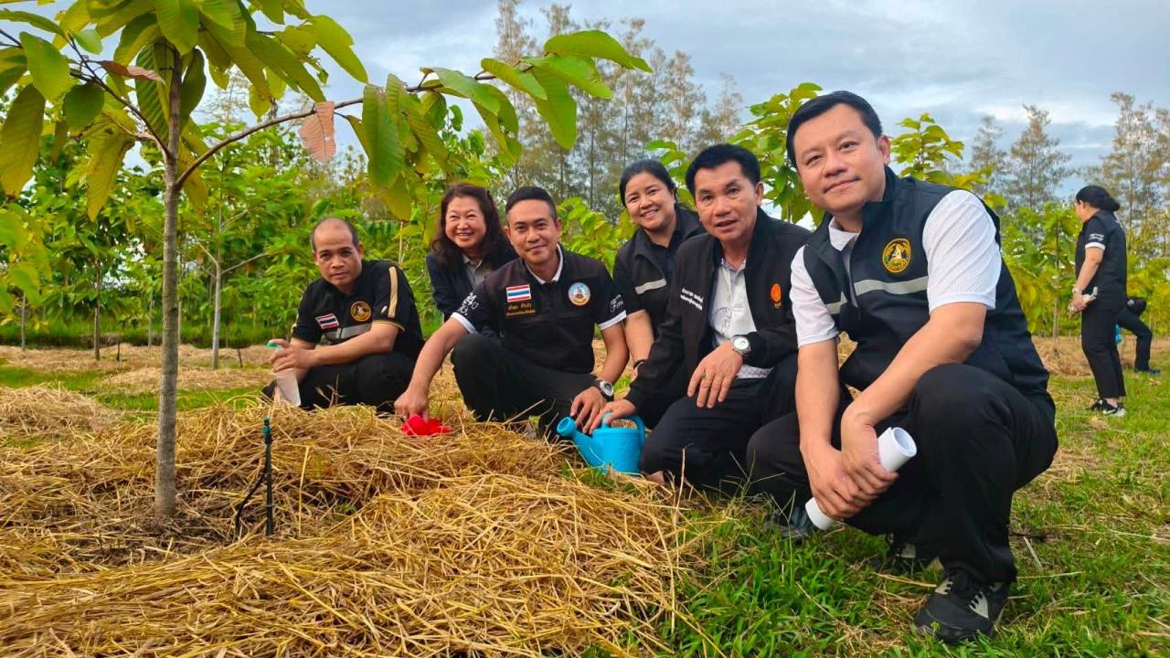ภาพประกอบที่ 11