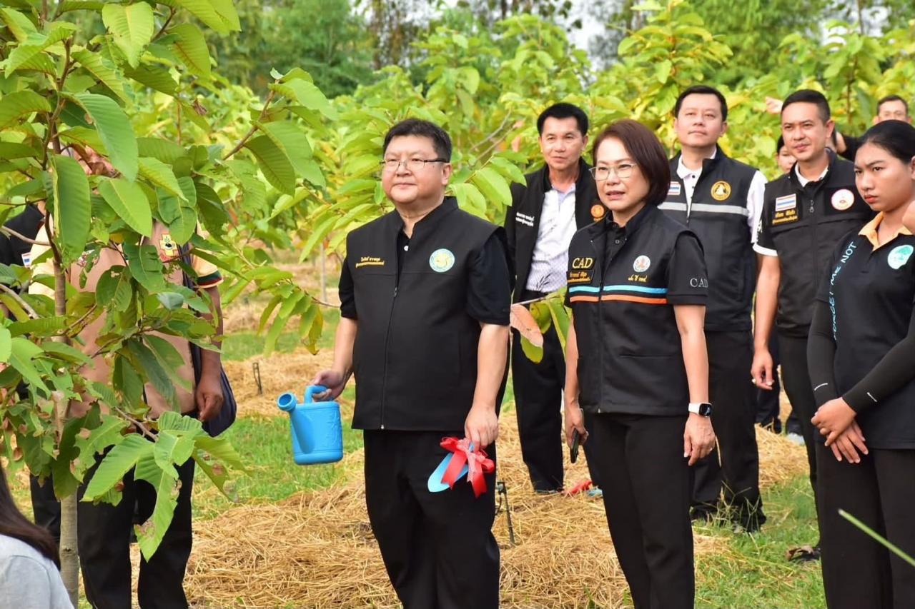 ภาพประกอบที่ 13