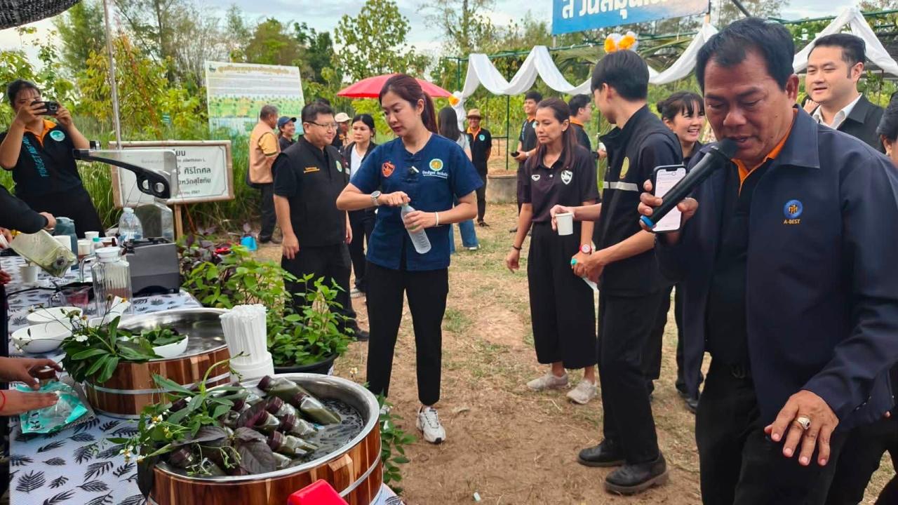 ภาพประกอบที่ 14