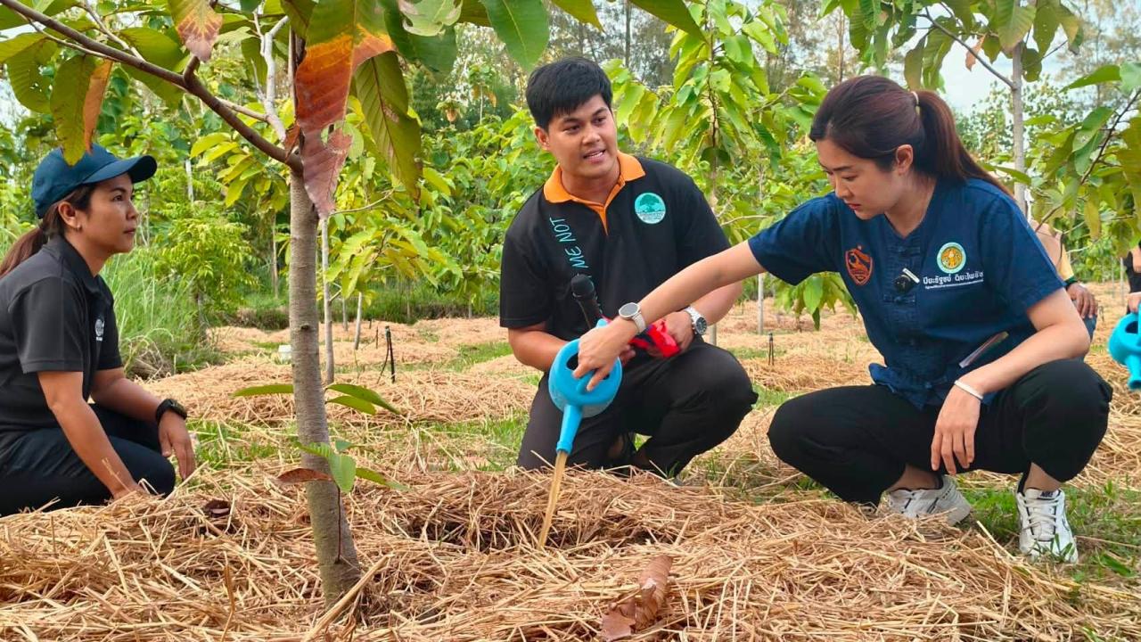 ภาพประกอบที่ 19