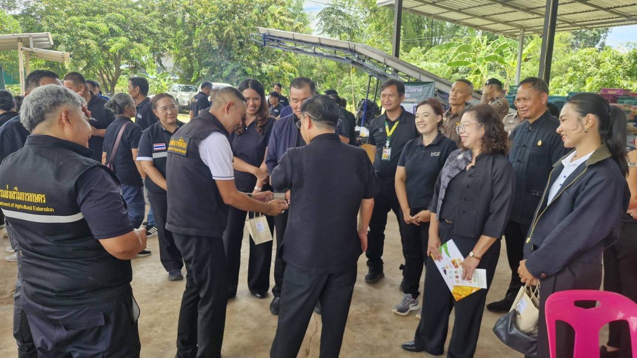 ภาพประกอบที่ 8