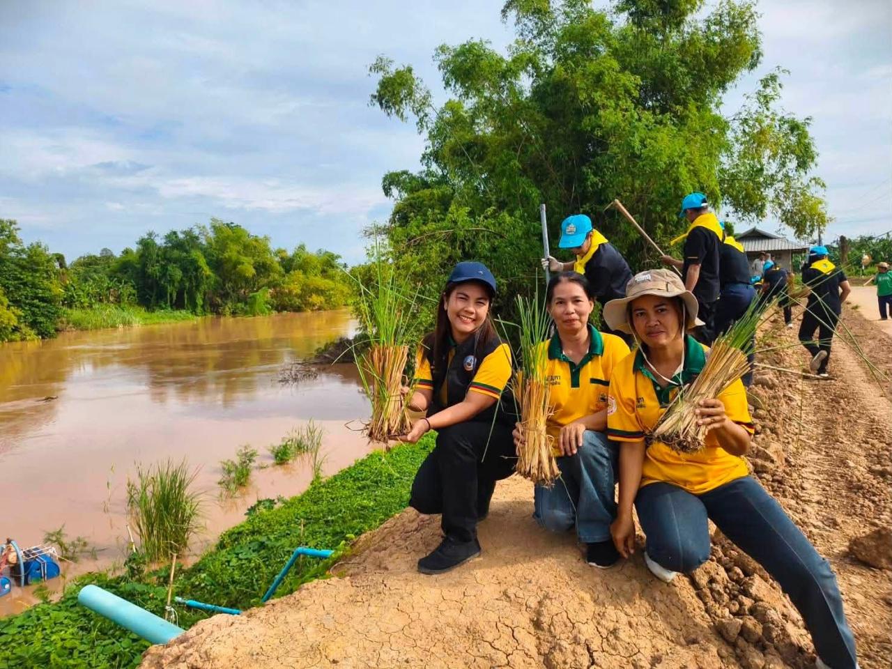 ภาพประกอบที่ 11