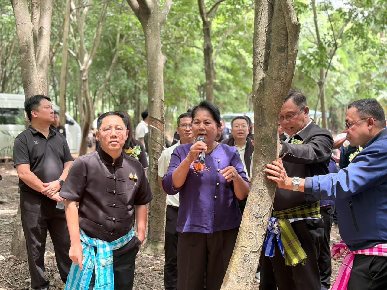 ภาพประกอบที่ 13