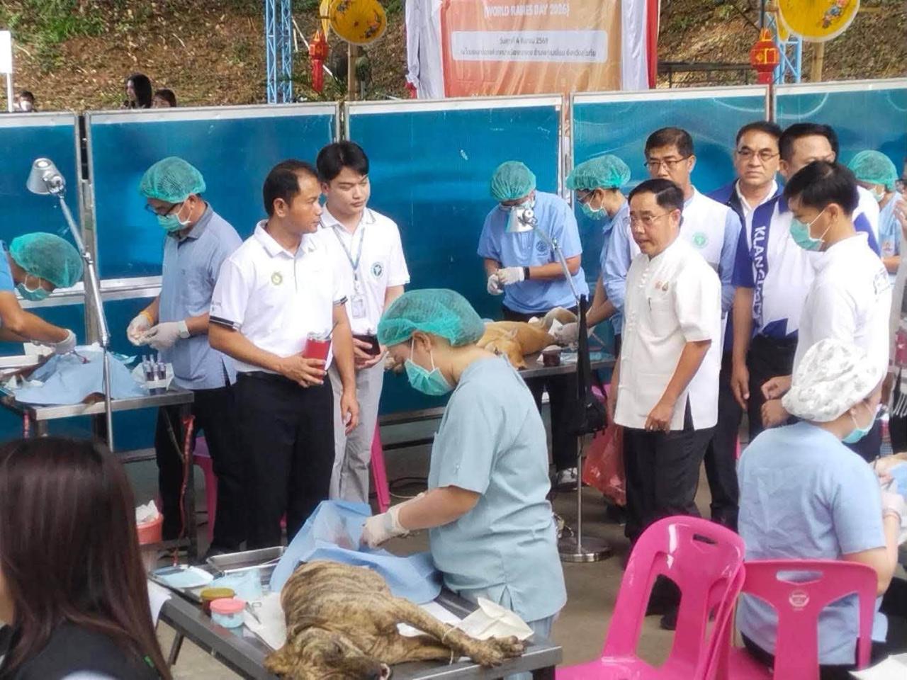 ภาพประกอบที่ 3