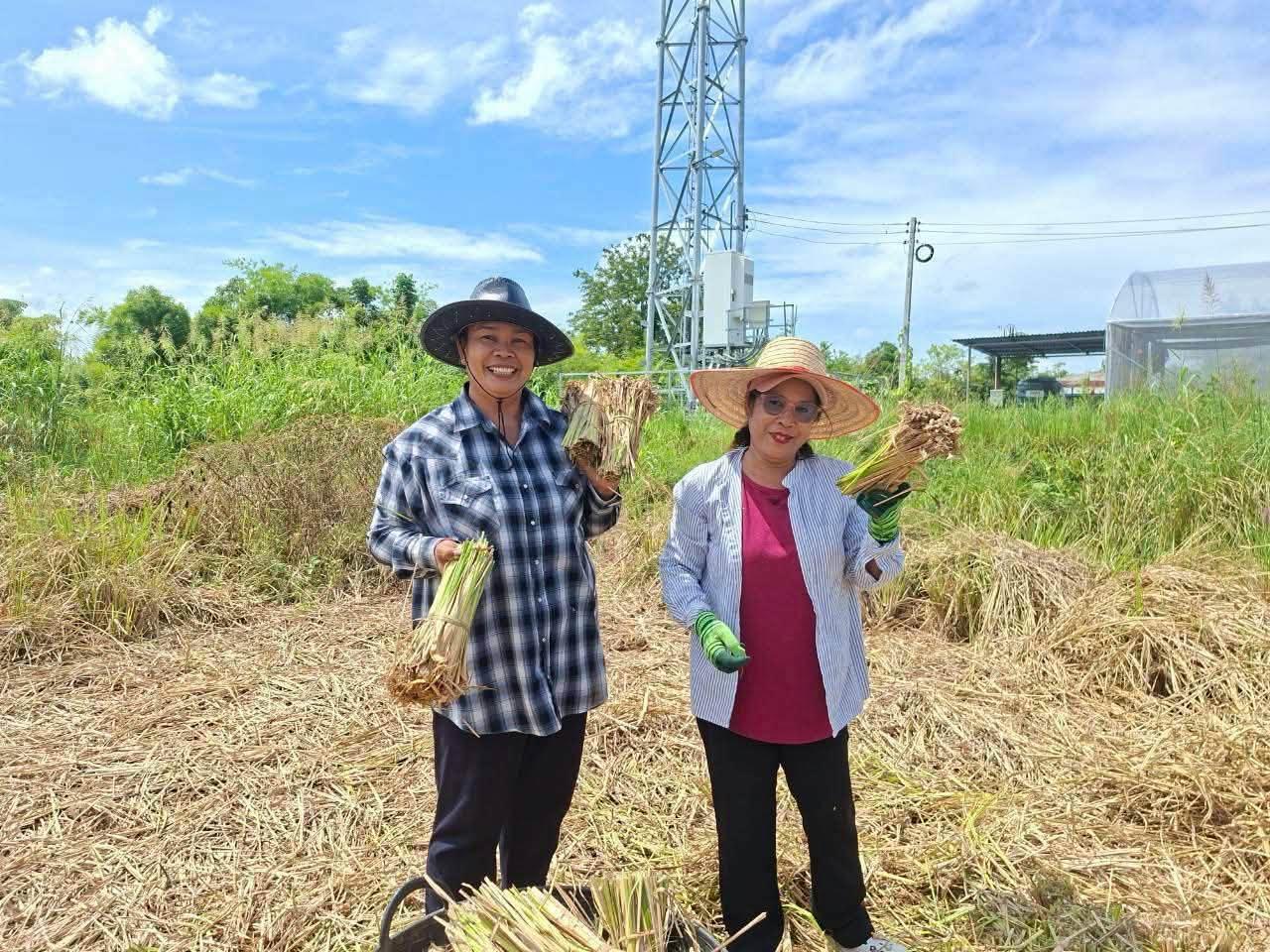ภาพประกอบที่ 7