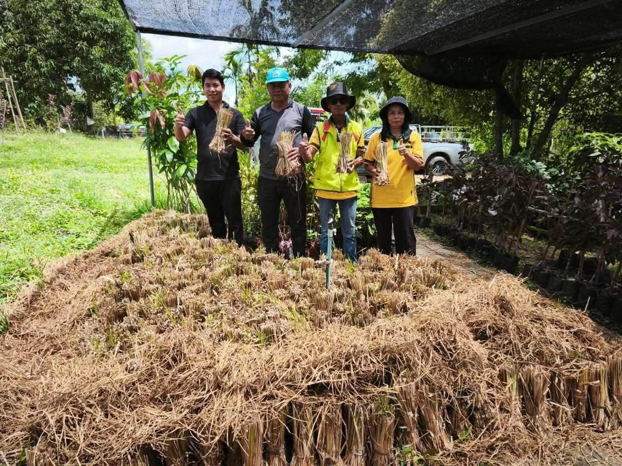 ภาพประกอบที่ 10