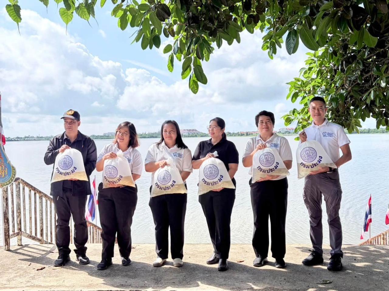 ภาพประกอบที่ 8