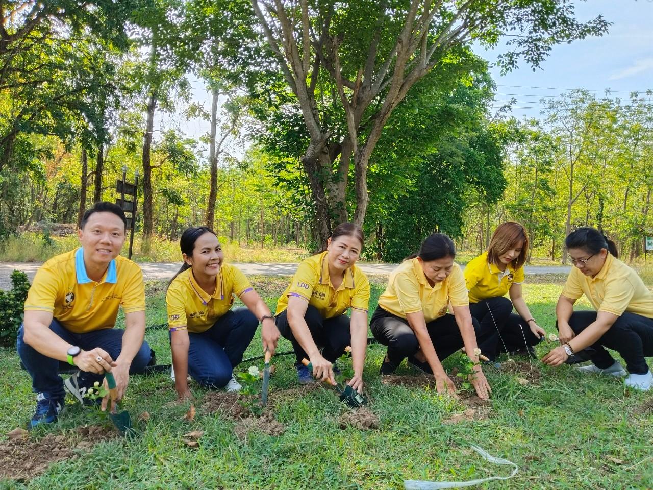 ภาพประกอบที่ 5