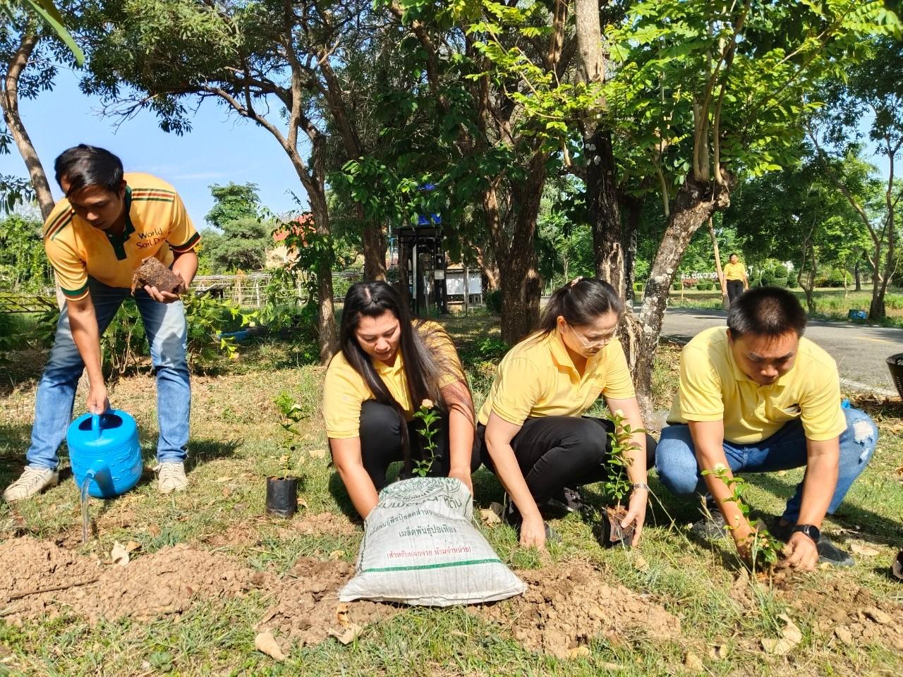 ภาพประกอบที่ 4