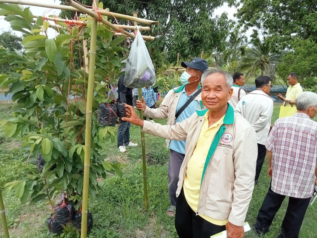 ภาพประกอบที่ 6