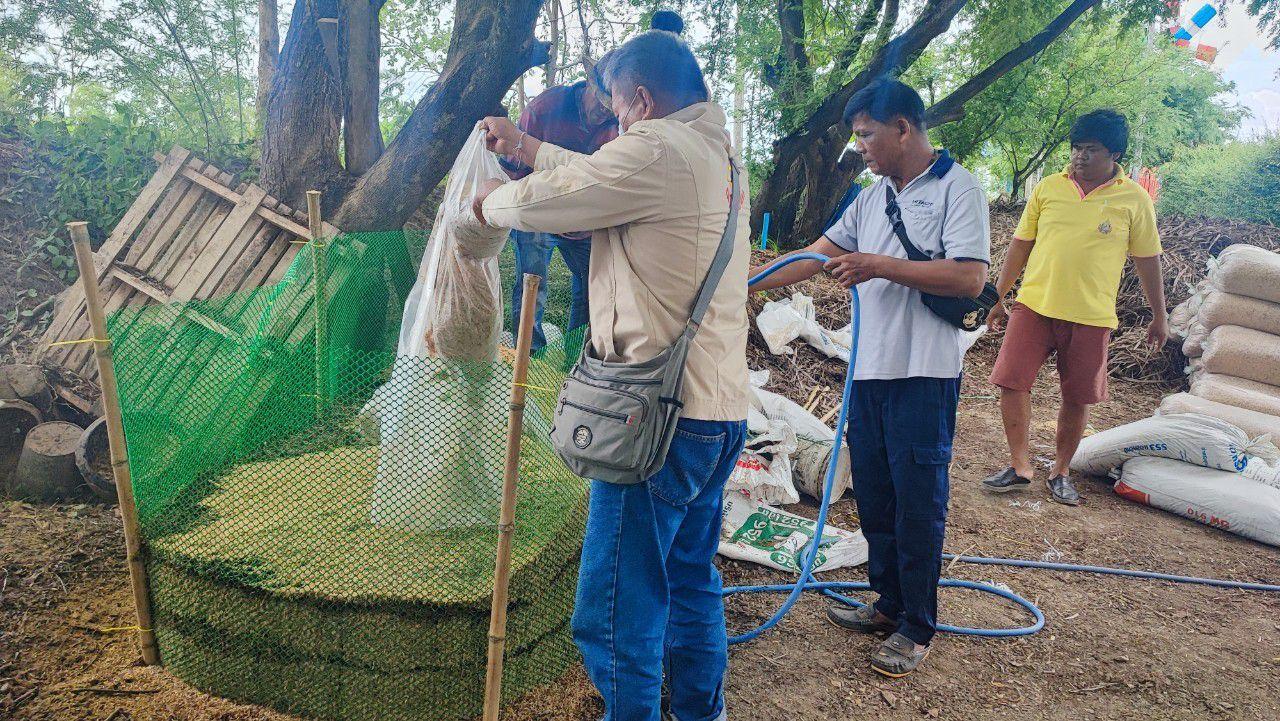 ภาพประกอบที่ 10
