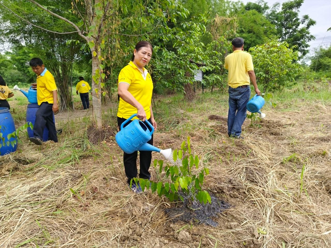 ภาพประกอบที่ 1