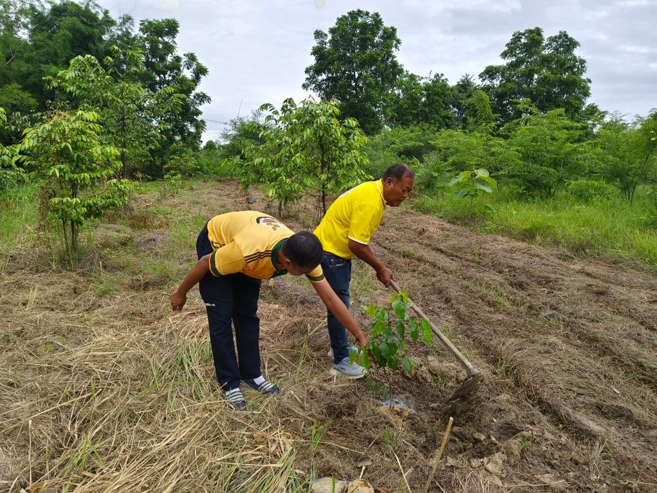 ภาพประกอบที่ 5