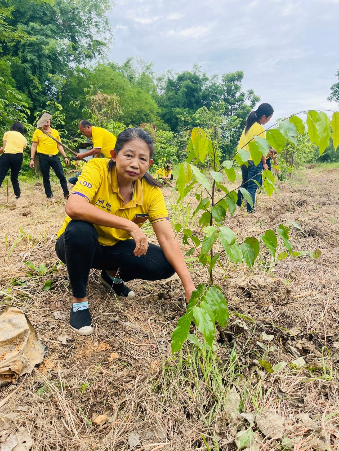 ภาพประกอบที่ 6