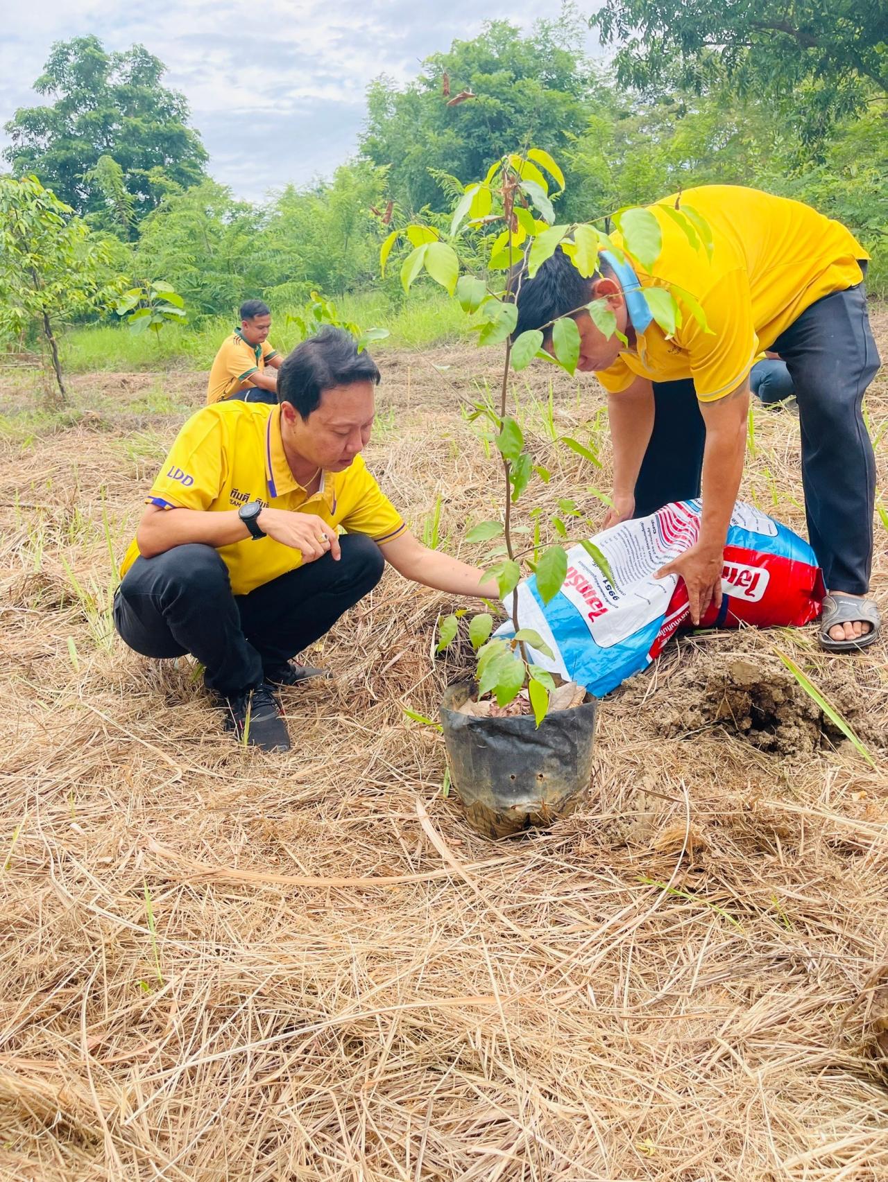 ภาพประกอบที่ 9