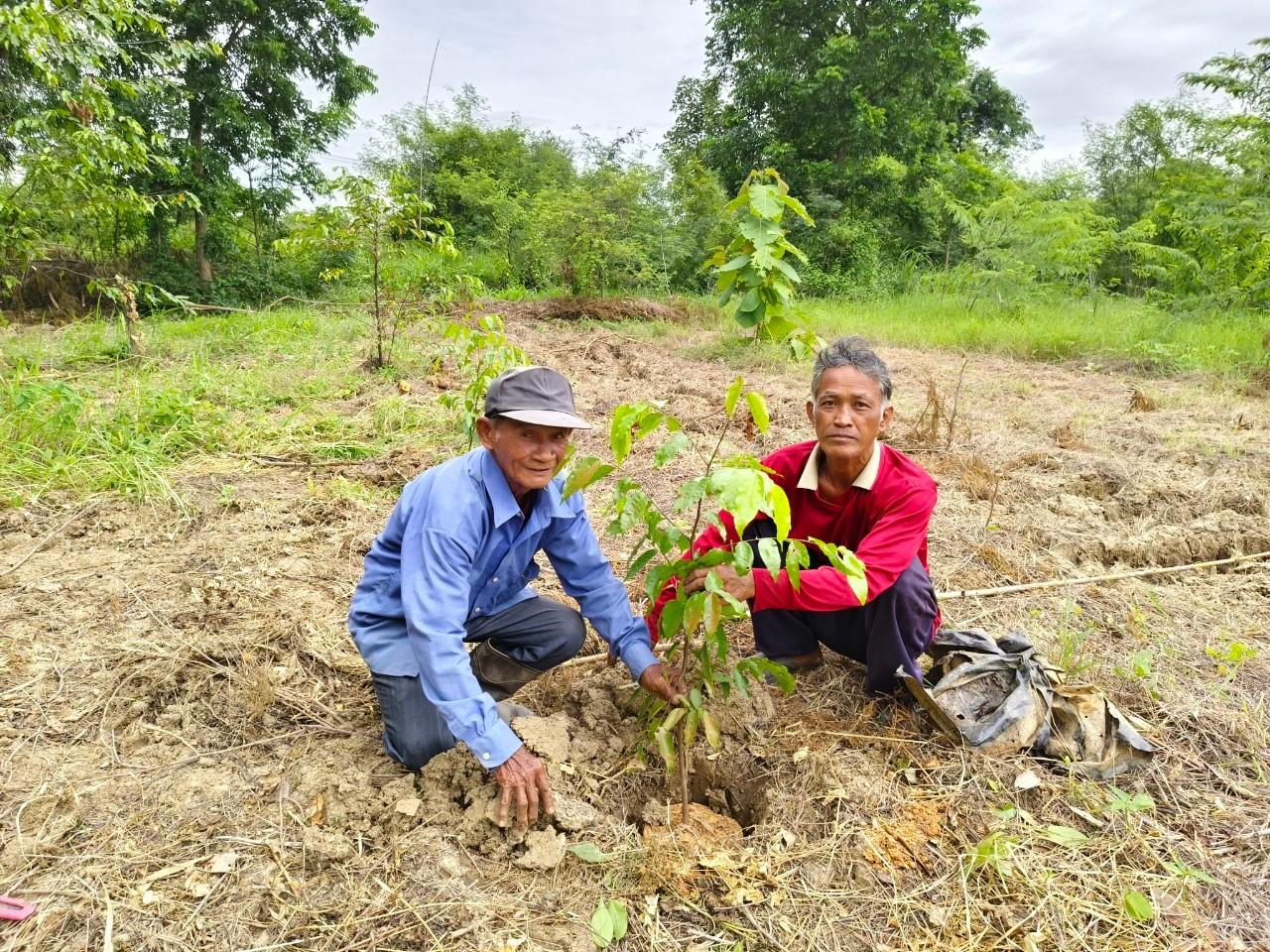 ภาพประกอบที่ 12