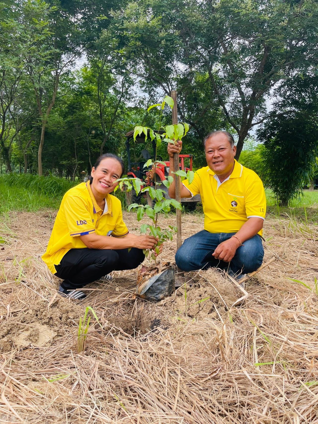 ภาพประกอบที่ 13