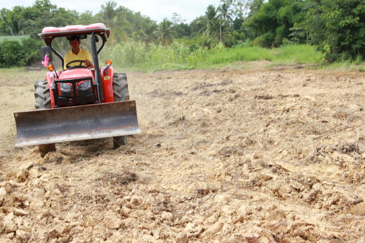 ภาพประกอบที่ 8