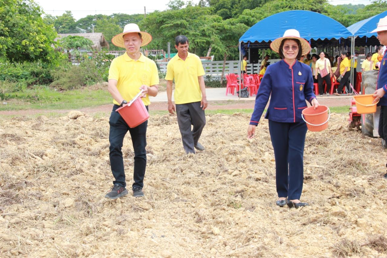 ภาพประกอบที่ 24