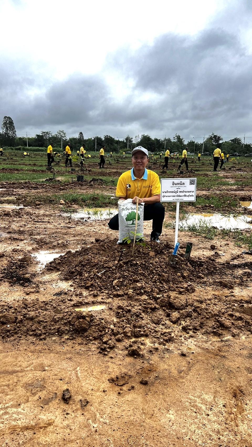 ภาพประกอบที่ 1