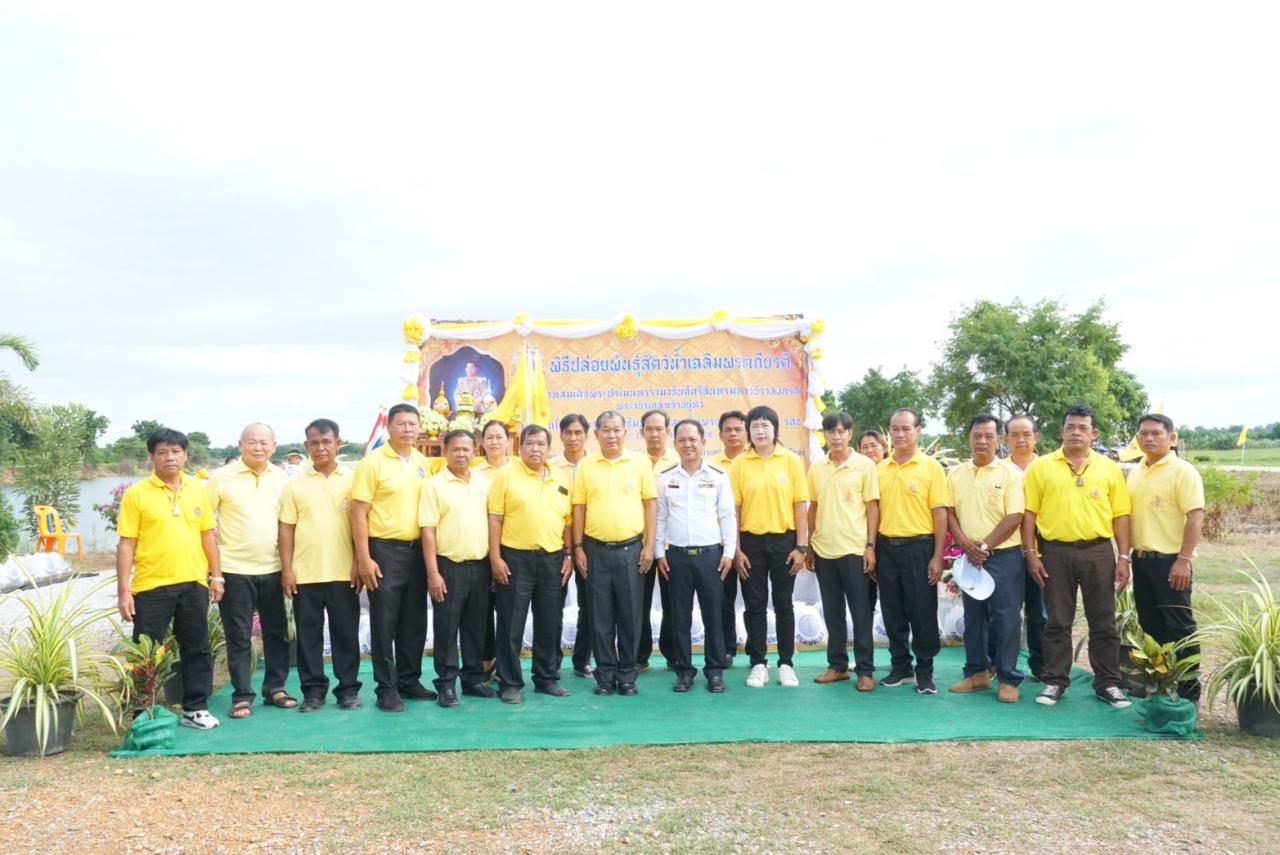 ภาพประกอบที่ 11