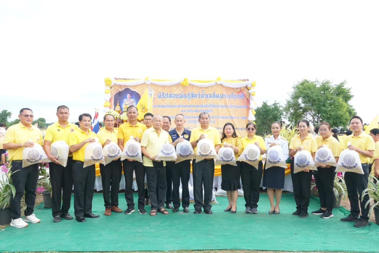 ภาพประกอบที่ 12