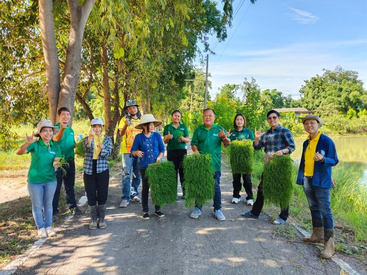 ภาพประกอบที่ 0