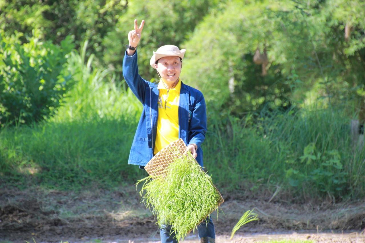 ภาพประกอบที่ 1