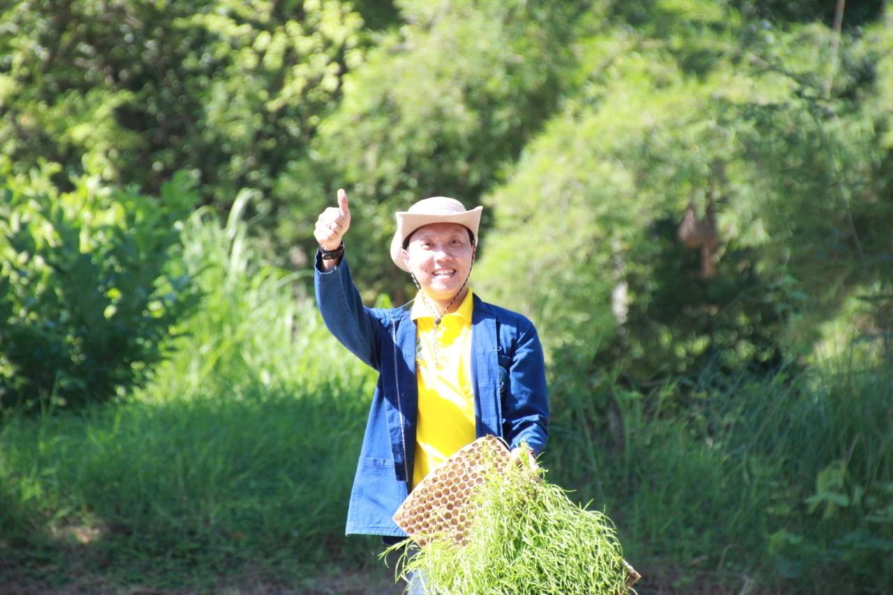 ภาพประกอบที่ 2