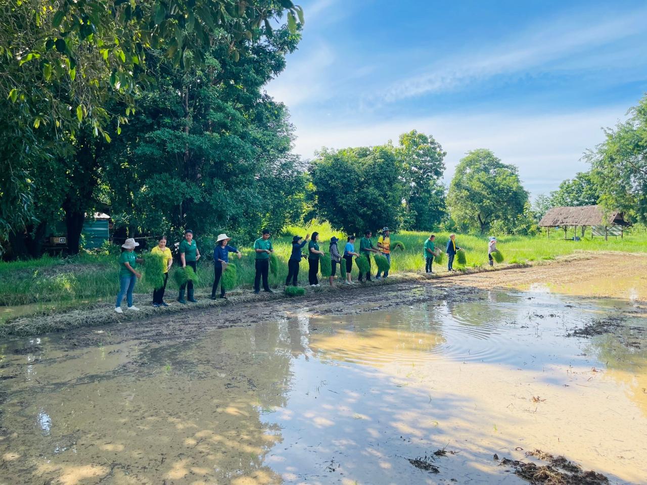 ภาพประกอบที่ 3