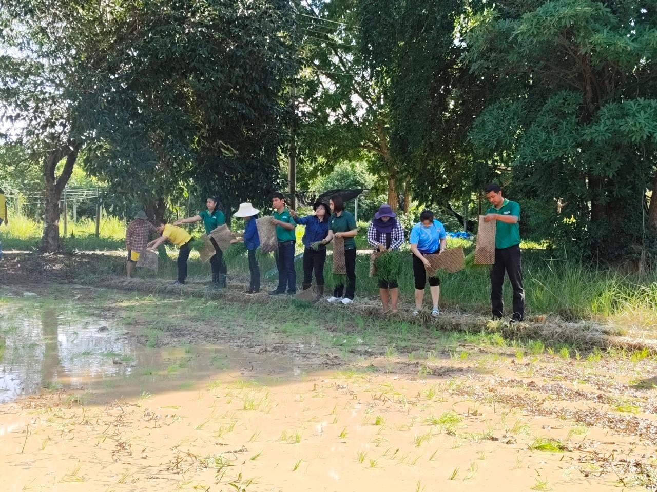 ภาพประกอบที่ 4