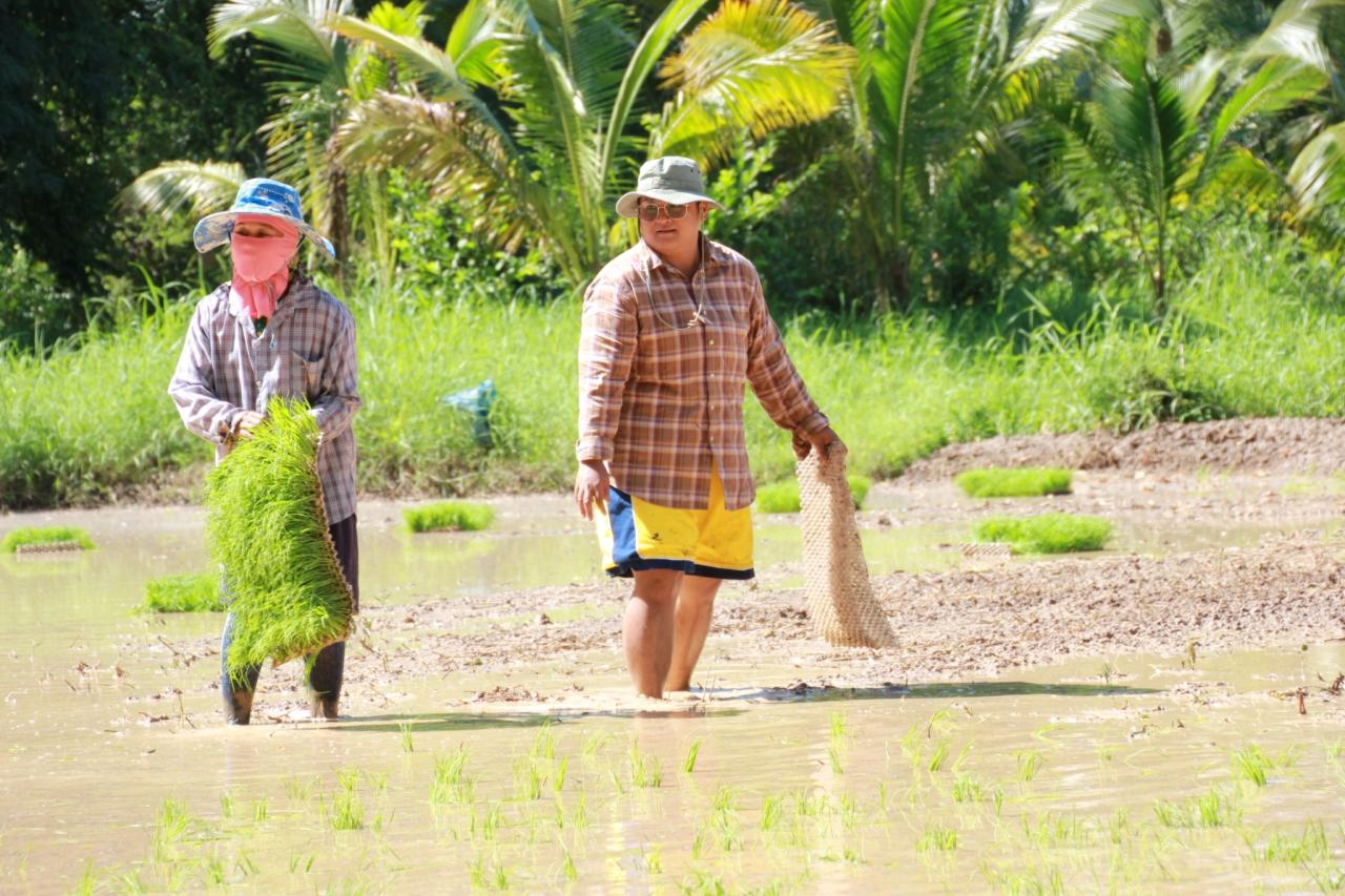 ภาพประกอบที่ 6