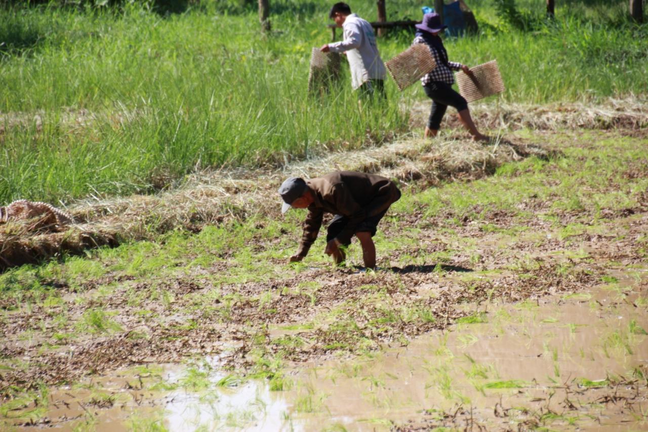 ภาพประกอบที่ 7