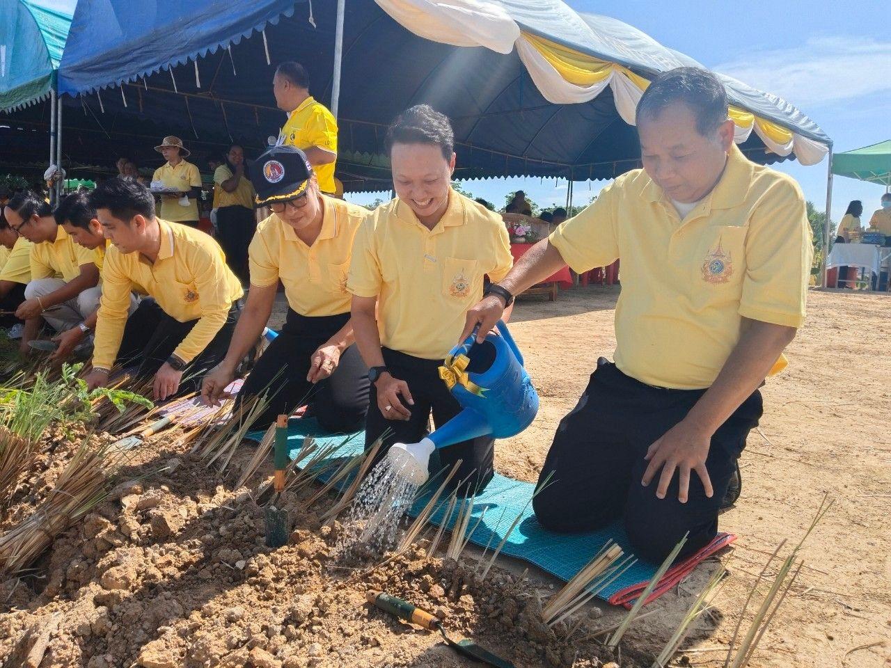 ภาพประกอบที่ 11