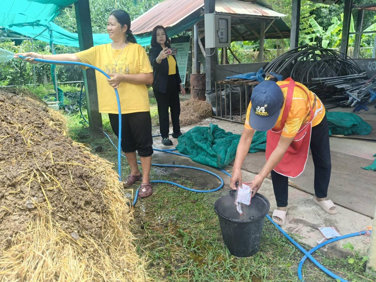 ภาพประกอบที่ 6