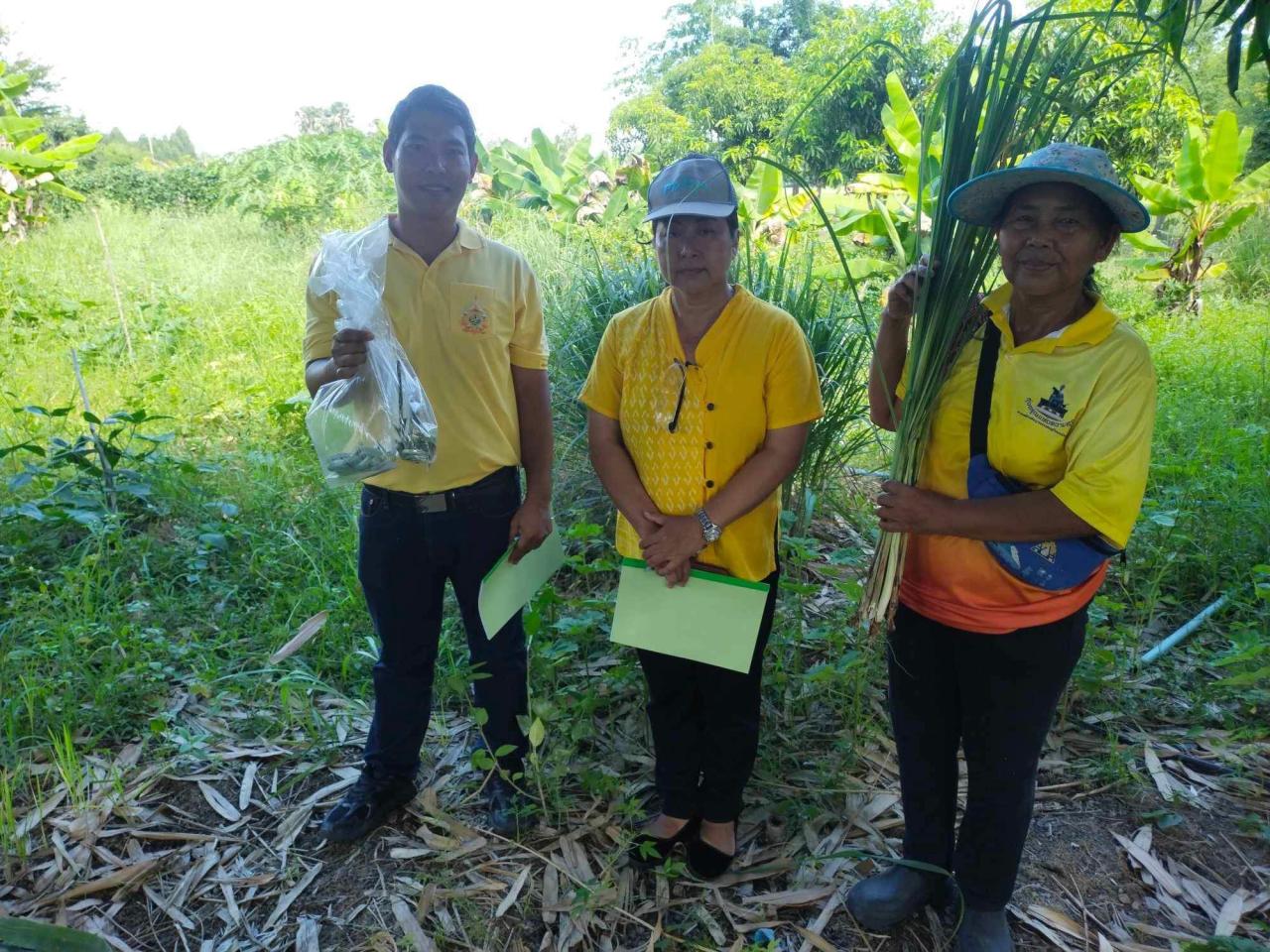 ภาพประกอบที่ 0