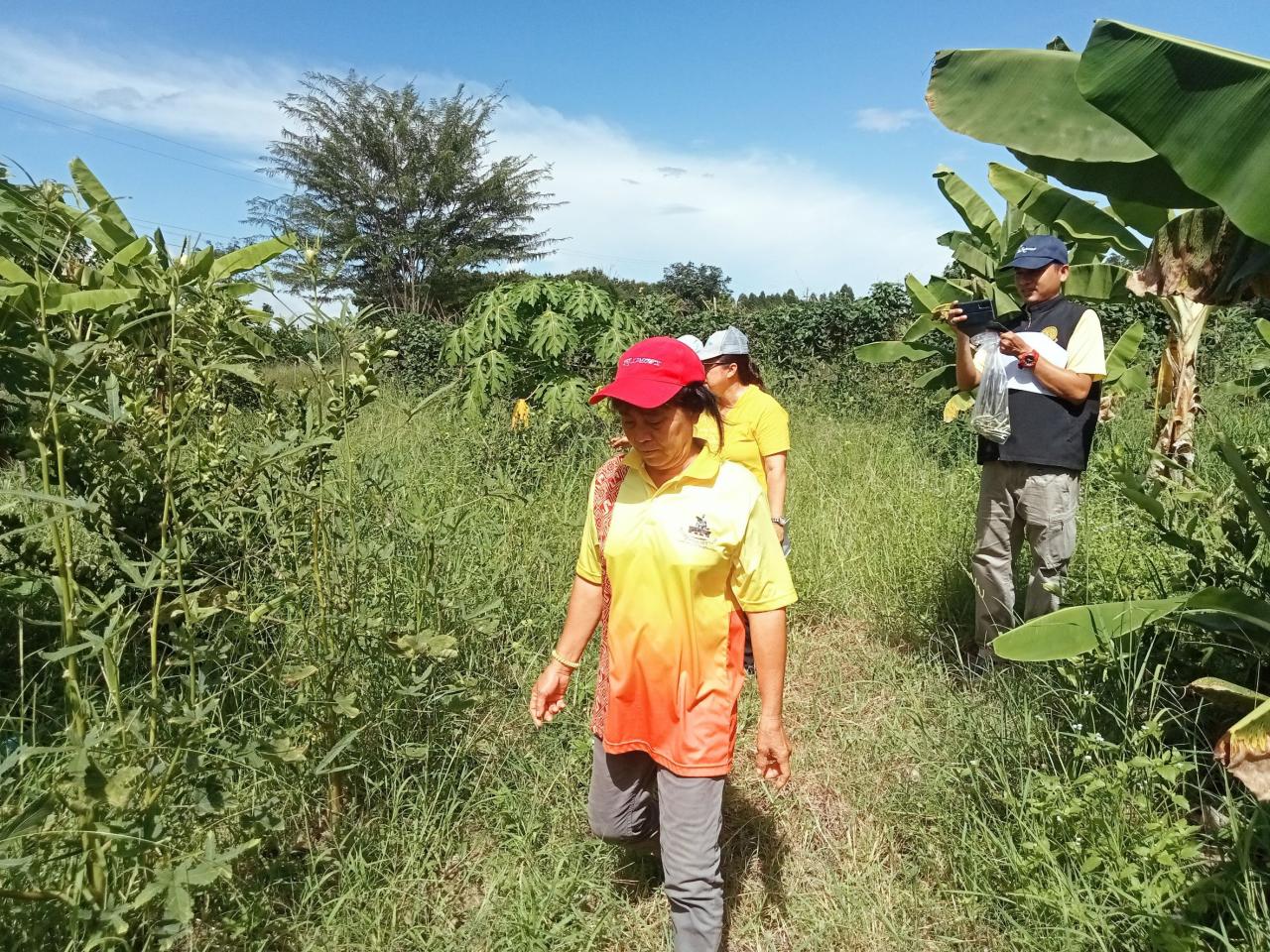 ภาพประกอบที่ 1