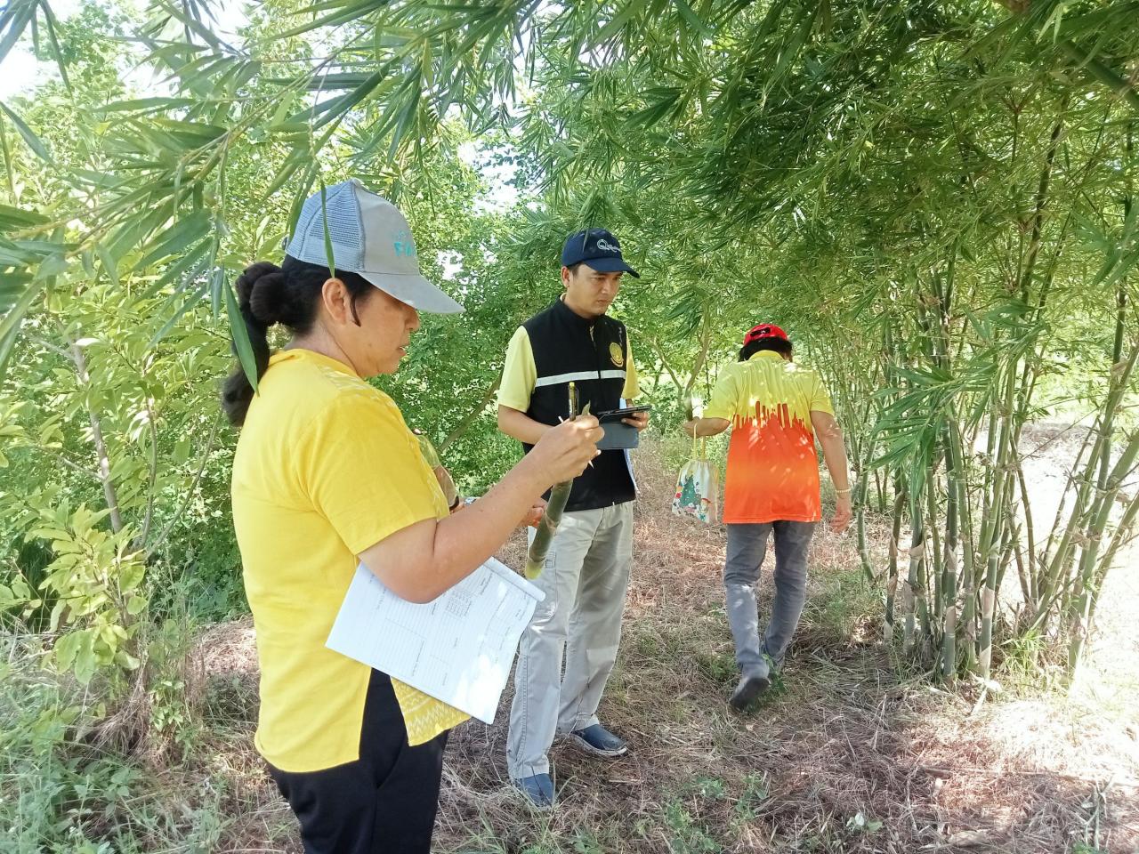 ภาพประกอบที่ 2