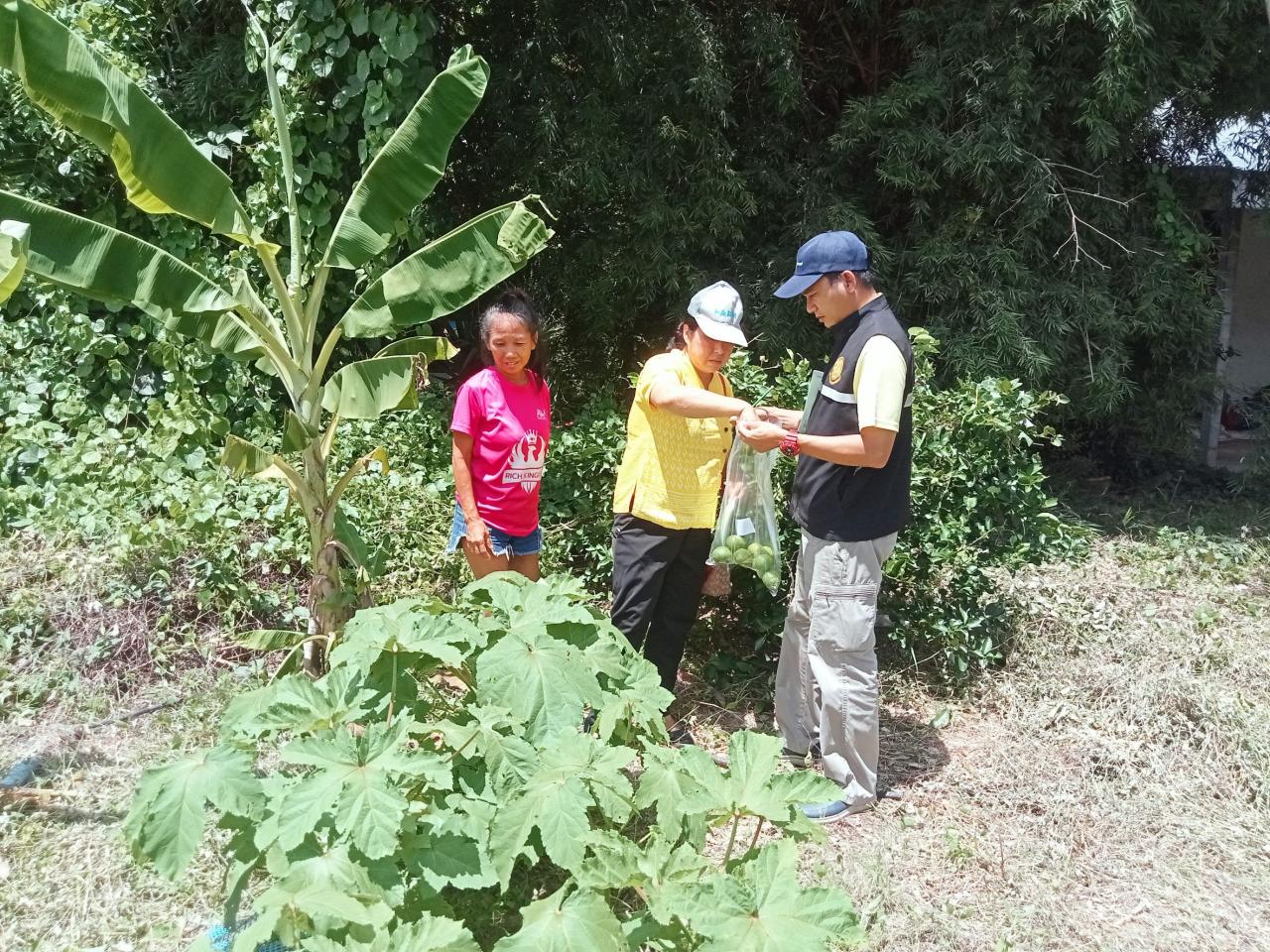 ภาพประกอบที่ 3