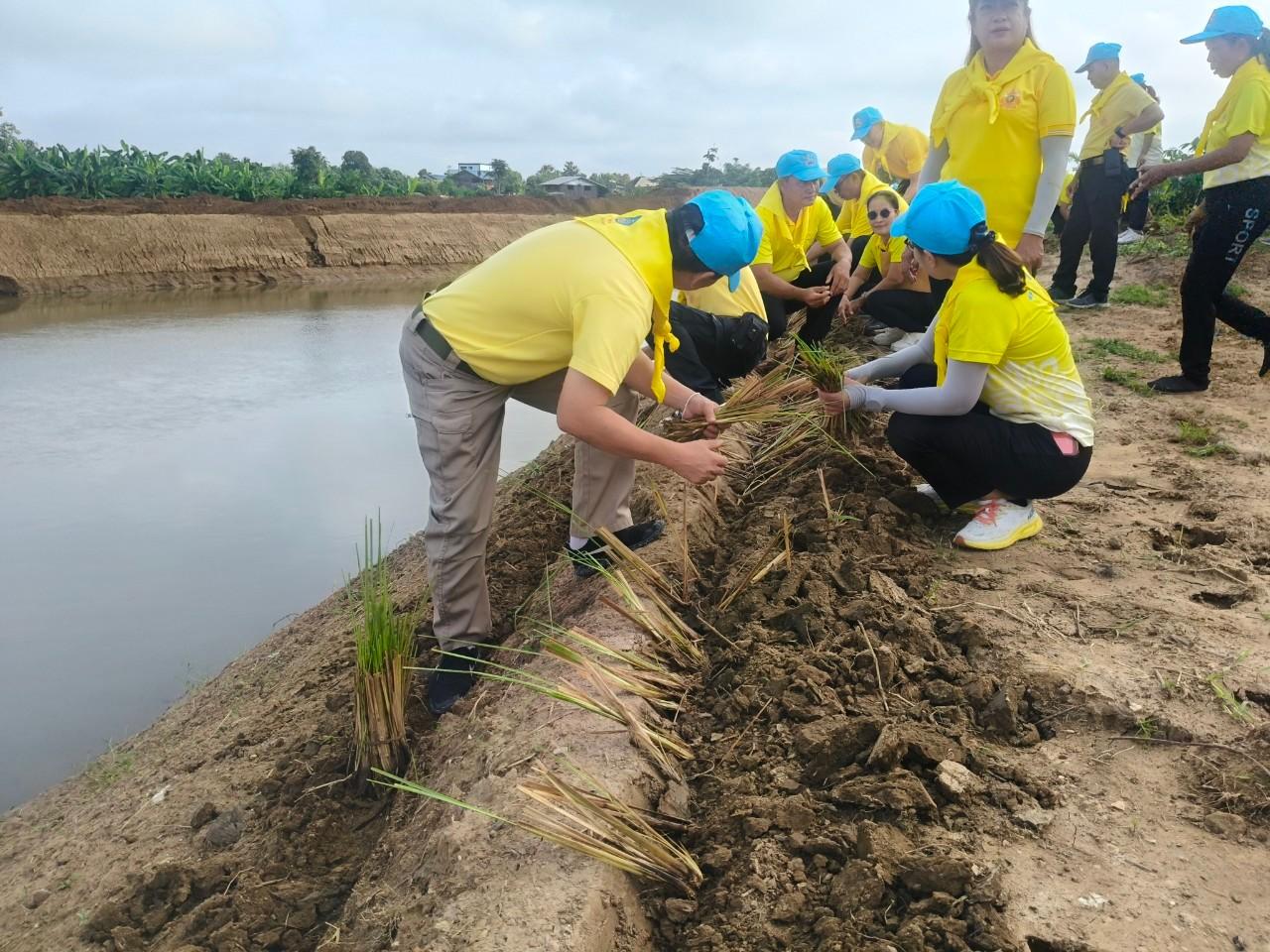 ภาพประกอบที่ 3
