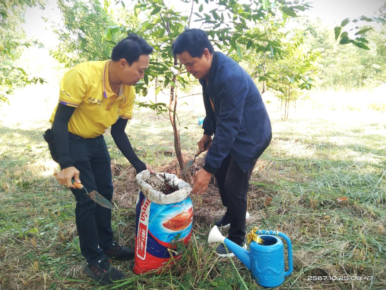 ภาพประกอบที่ 1