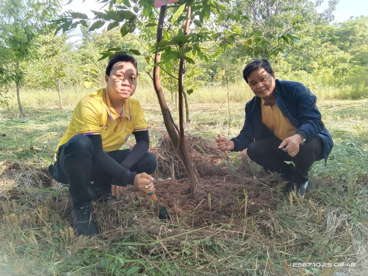 ภาพประกอบที่ 2