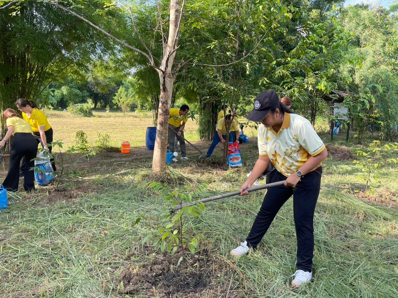 ภาพประกอบที่ 5