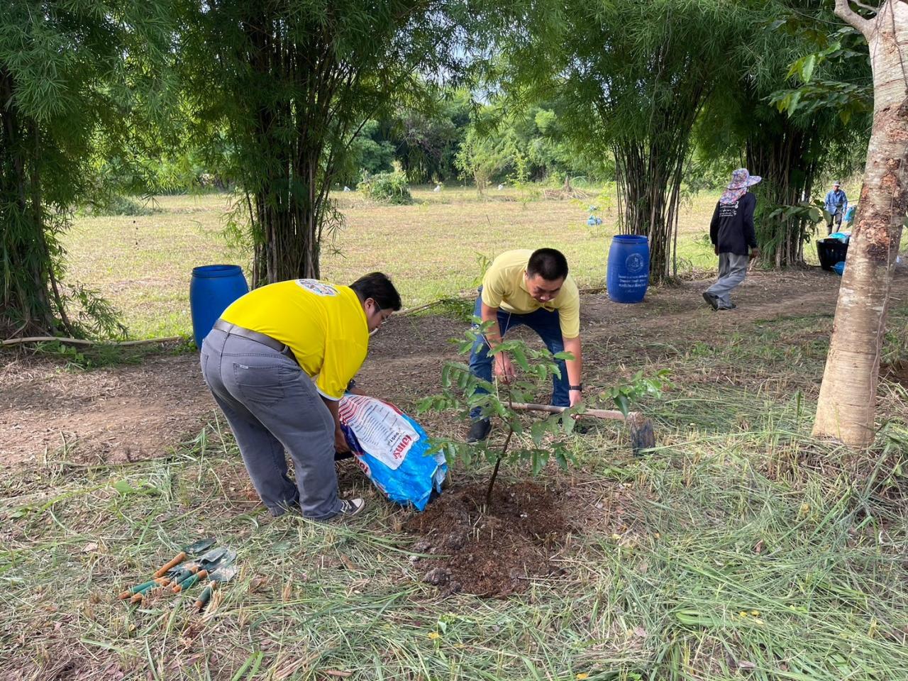ภาพประกอบที่ 15